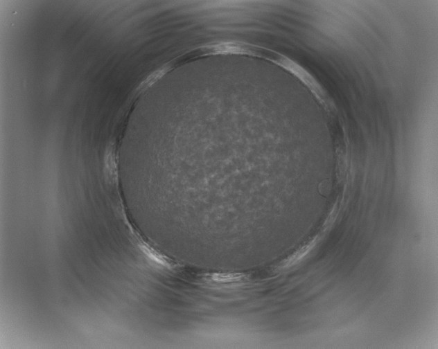X0000070250857200606161910