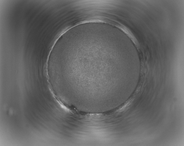X0000070250858200606161910