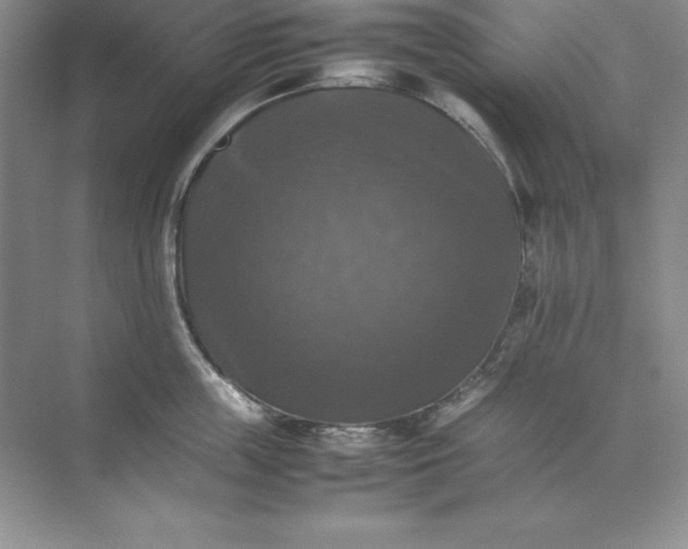 X0000070250859200606161910