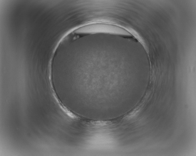 X0000070250862200606161910