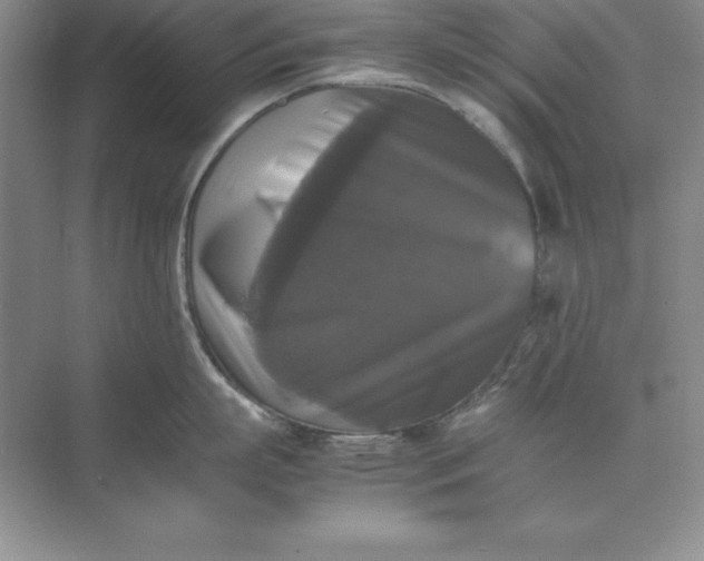 X0000070250863200606161910