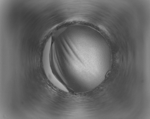 X0000070250872200606161909
