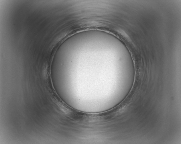 X0000070250873200606161909