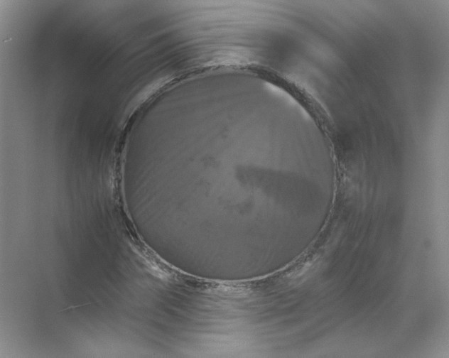 X0000070250874200606161909
