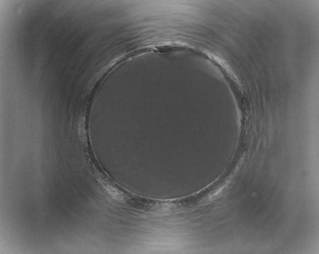 X0000070250881200606161909