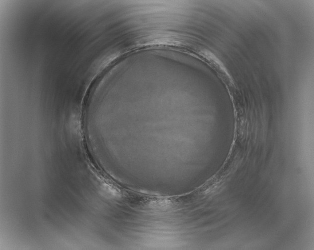 X0000070250882200606161909