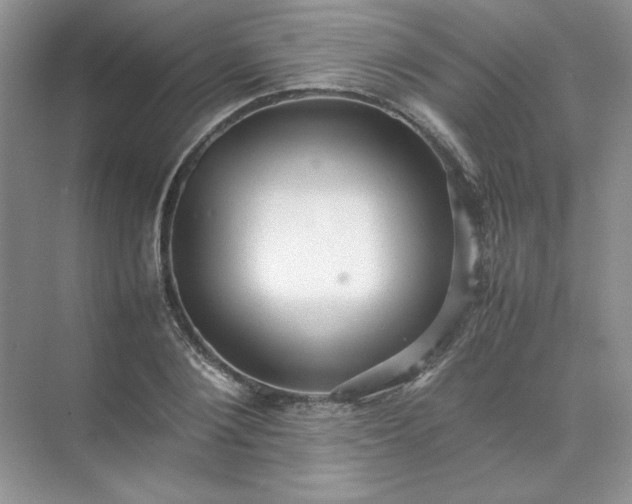 X0000070250884200606161909