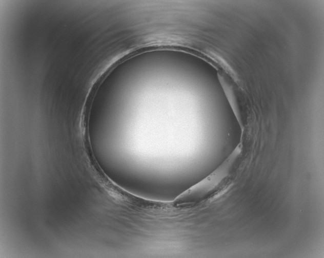 X0000070250885200606161909