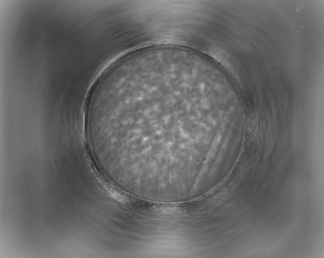 X0000070250886200606161909