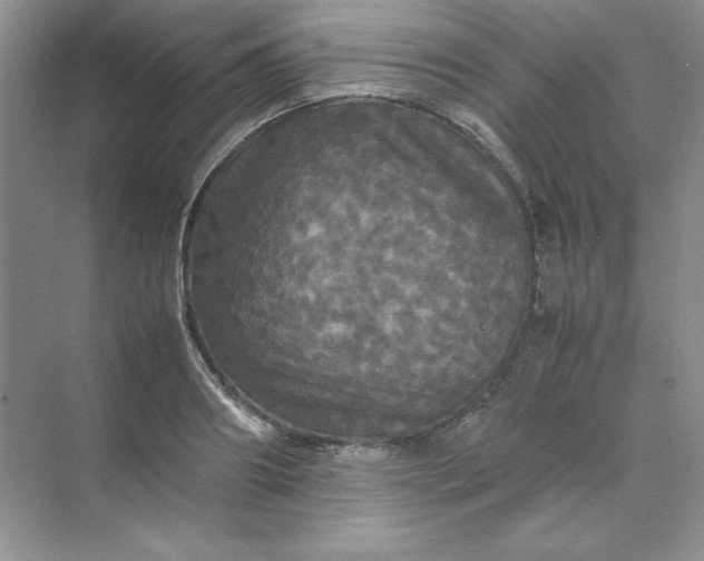 X0000070250890200606161909