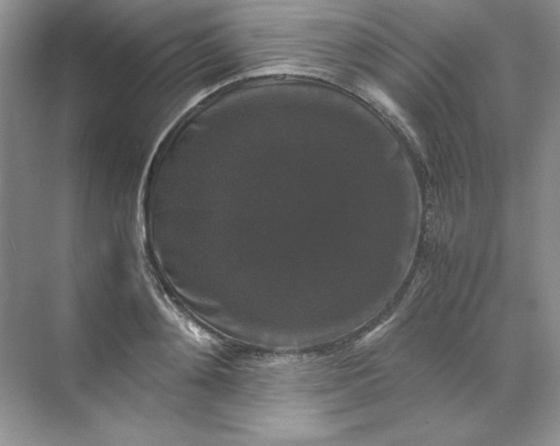 X0000070250892200606161909