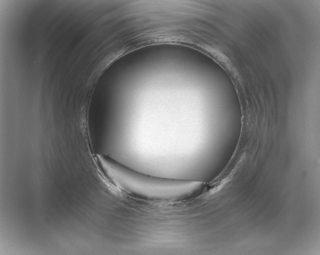 X0000070250897200606161909