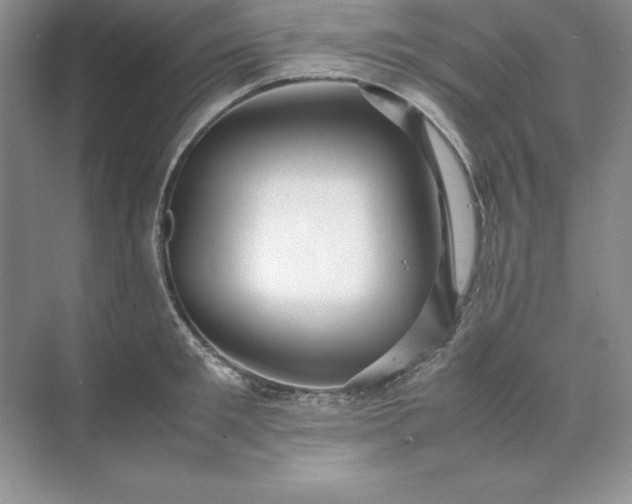 X0000070250901200606161909