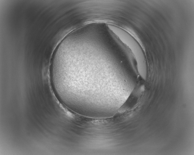 X0000070250906200606161909