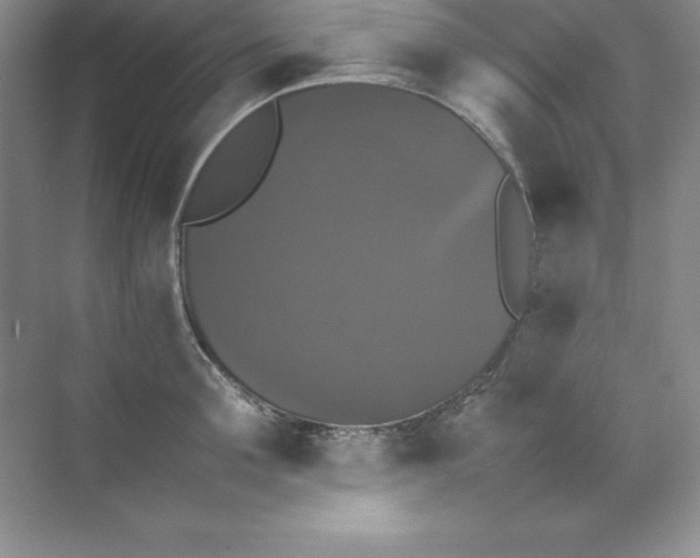 X0000070250907200606161909