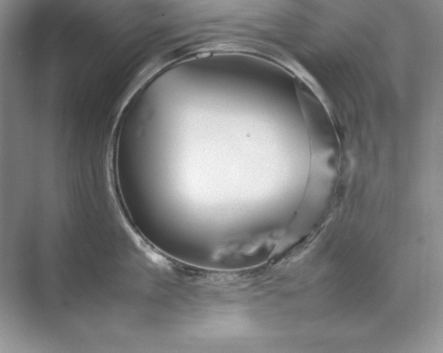 X0000070250909200606161908