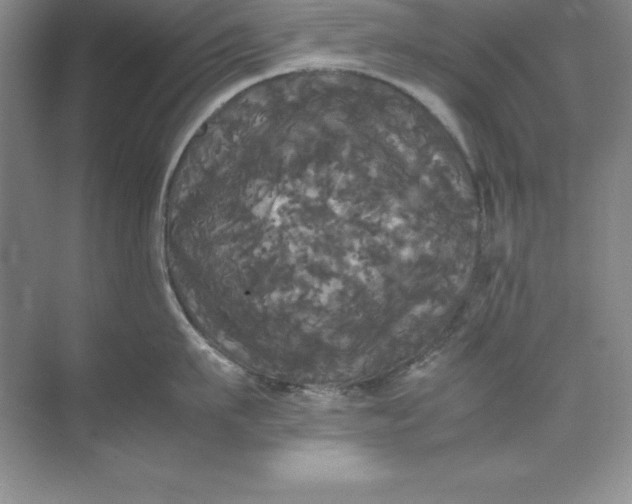X0000070250911200606161908