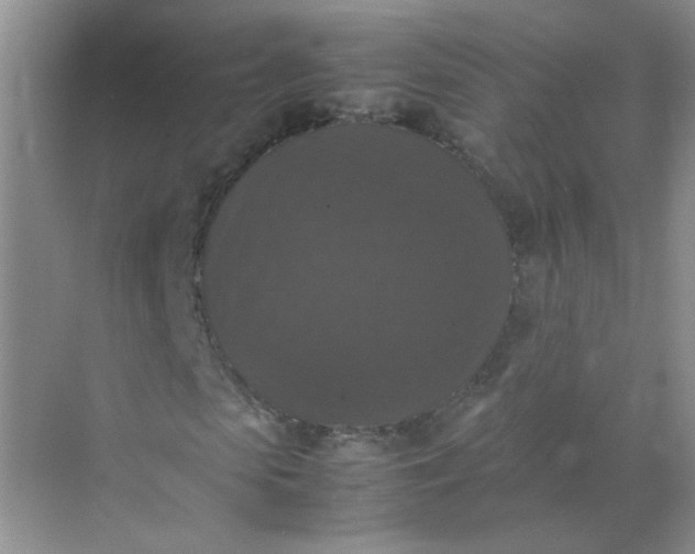 X0000070250913200606161908