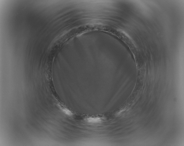 X0000070250919200606161908