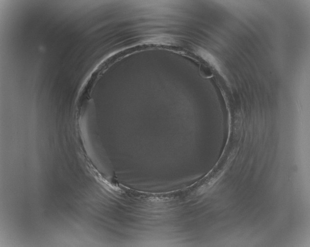X0000070250923200606161908