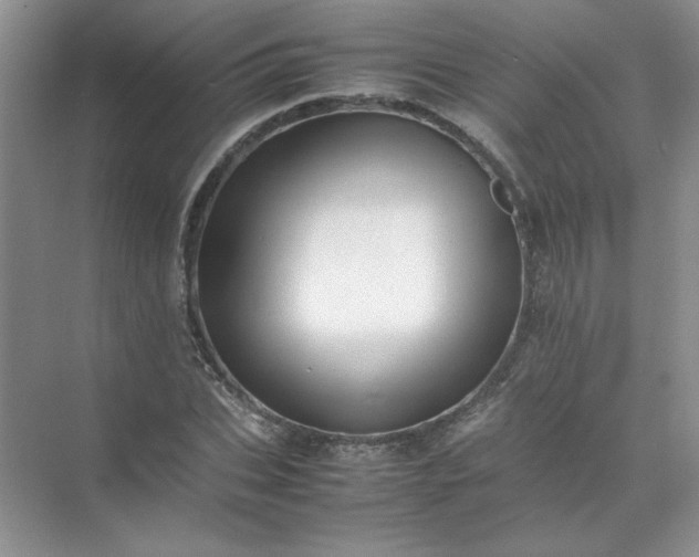 X0000070250927200606161908