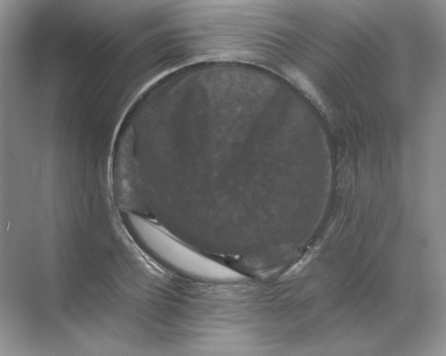 X0000070250932200606161908