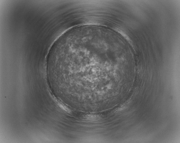 X0000070250933200606161908