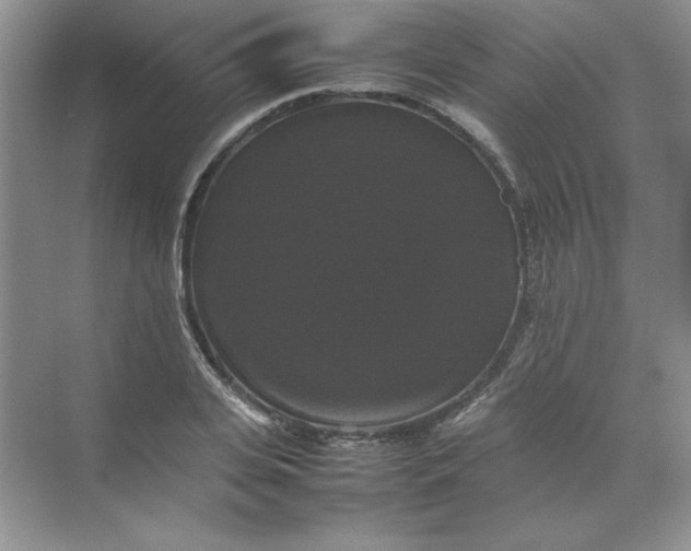 X0000070250935200606161908