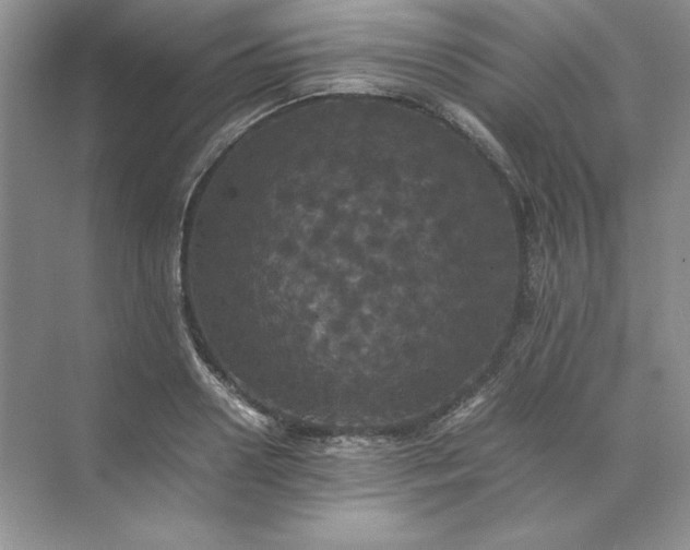 X0000070250938200606161908