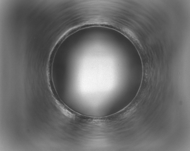 X0000070250942200606161908