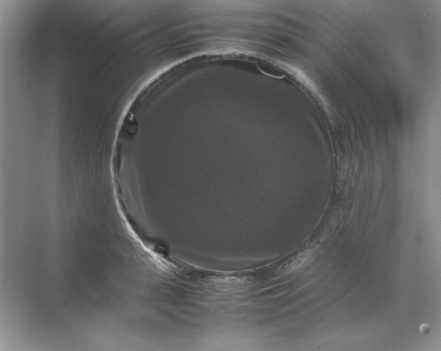 X0000070250943200606161908