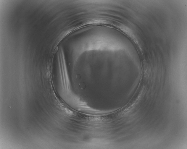 X0000070250945200606161908