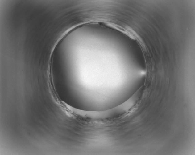 X0000070250956200606161908