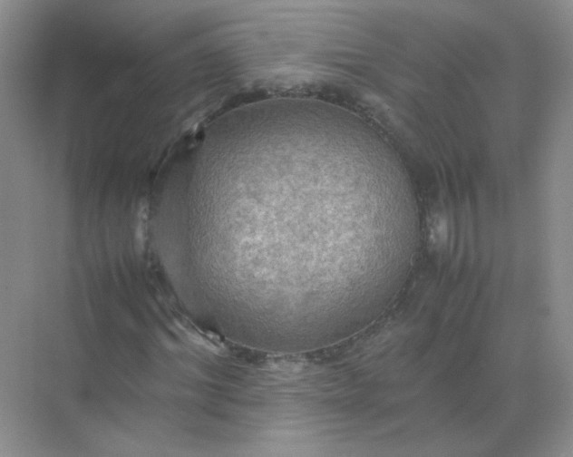 X0000070250964200606161908