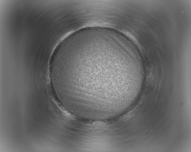 X0000070250974200606161907