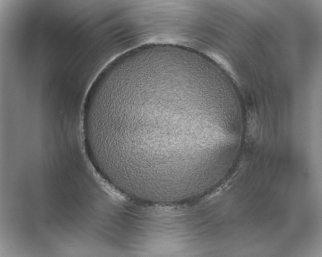 X0000070250976200606161907