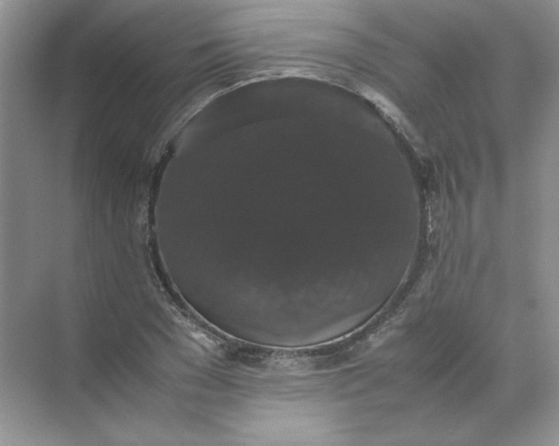X0000070250977200606161907