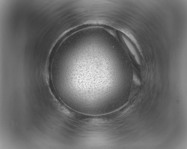X0000070250984200606161907