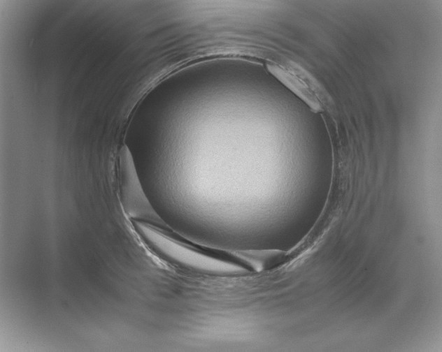 X0000070250993200606161907
