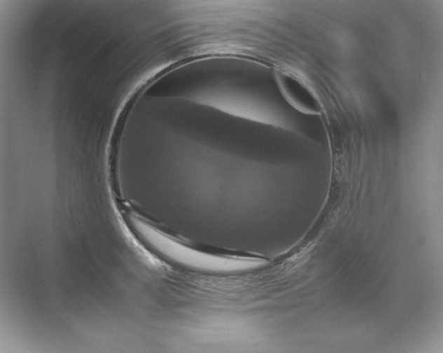 X0000070250995200606161907