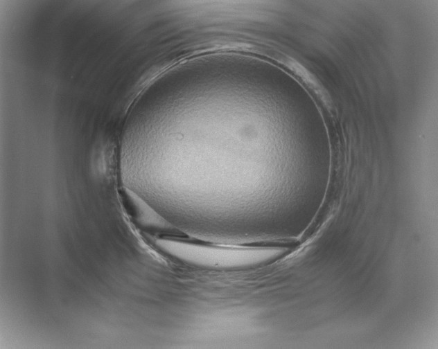 X0000070251001200606161907