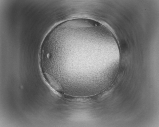 X0000070251005200606161907