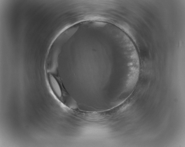 X0000070251007200606161907