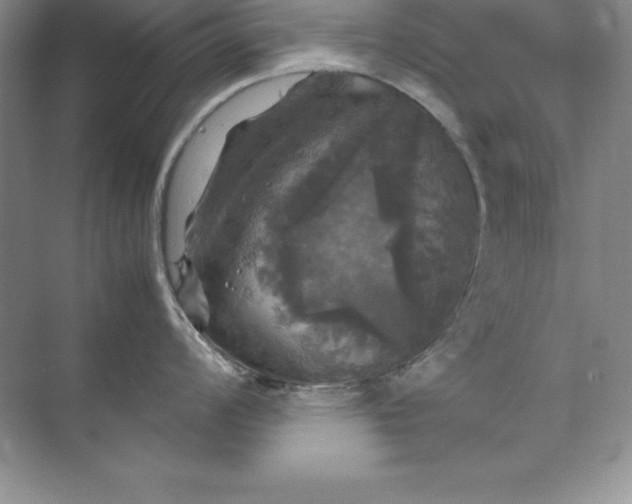 X0000070251008200606161907