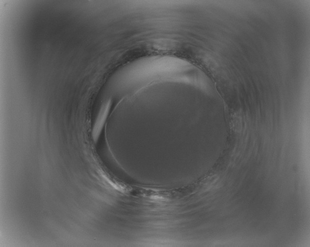 X0000070251009200606161906