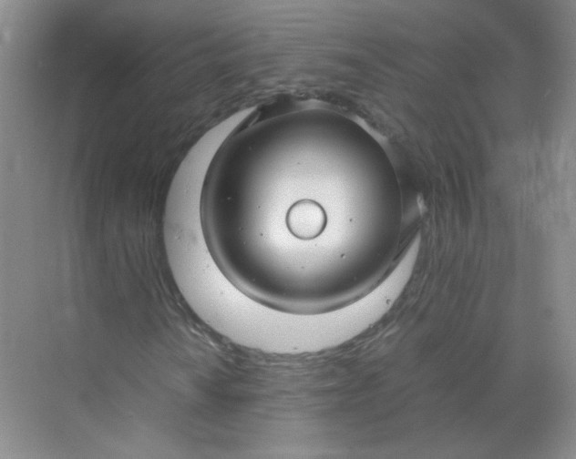 X0000070251010200606161906