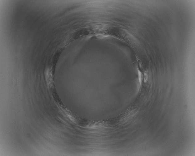 X0000070251011200606161906
