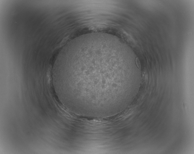 X0000070251012200606161906
