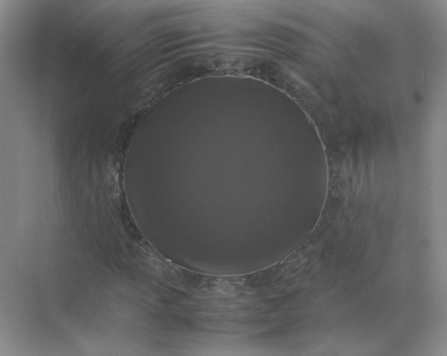 X0000070251013200606161906