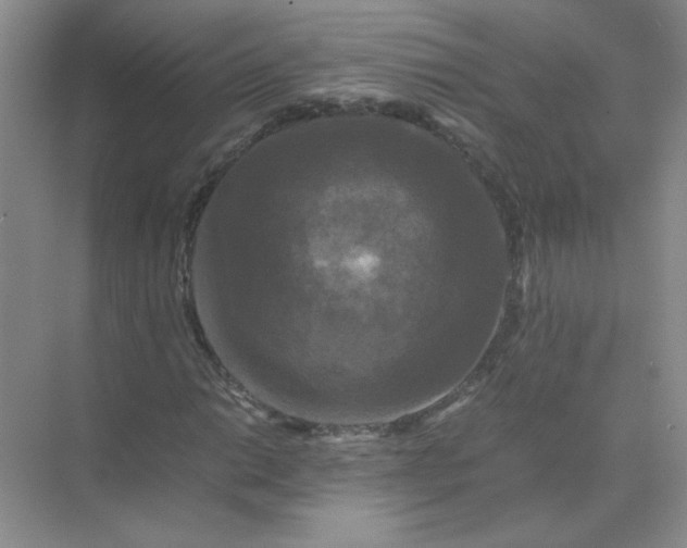 X0000070251014200606161906